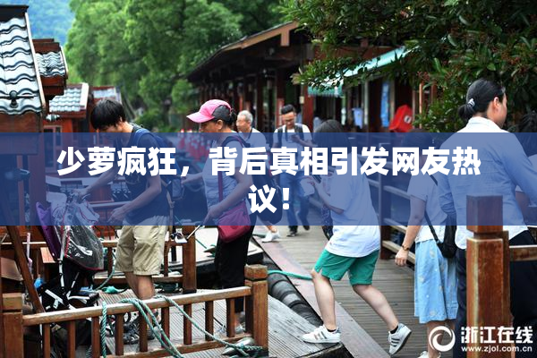 少萝疯狂，背后真相引发网友热议！