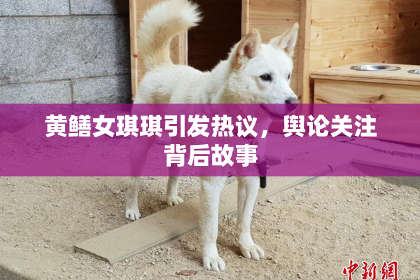黄鳝女琪琪引发热议，舆论关注背后故事