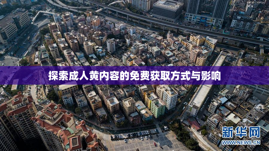探索成人黄内容的免费获取方式与影响