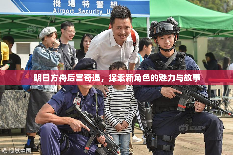 明日方舟后宫奇遇，探索新角色的魅力与故事