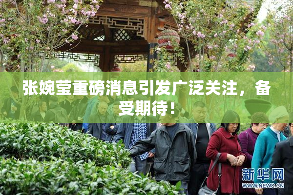 张婉莹重磅消息引发广泛关注，备受期待！