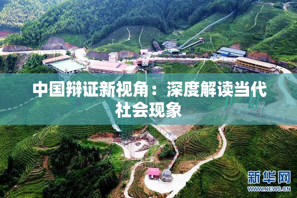 中国辩证新视角：深度解读当代社会现象