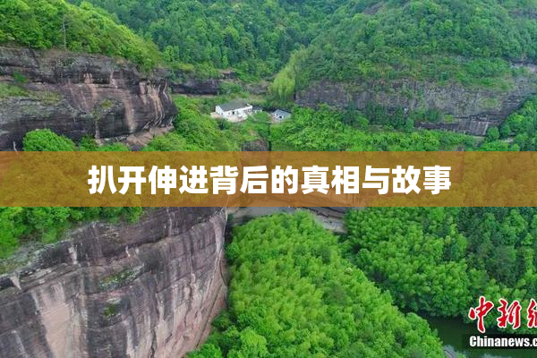 扒开伸进背后的真相与故事