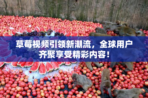 草莓视频引领新潮流，全球用户齐聚享受精彩内容！