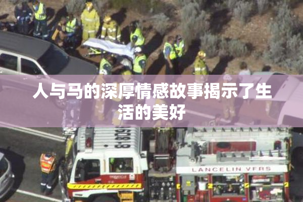 人与马的深厚情感故事揭示了生活的美好