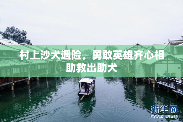 村上沙犬遇险，勇敢英雄齐心相助救出助犬