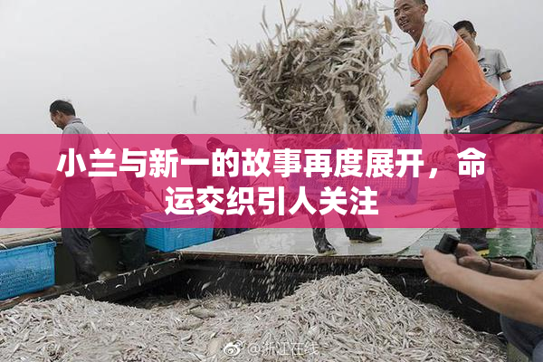 小兰与新一的故事再度展开，命运交织引人关注