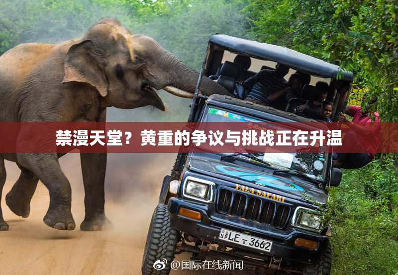 禁漫天堂？黄重的争议与挑战正在升温