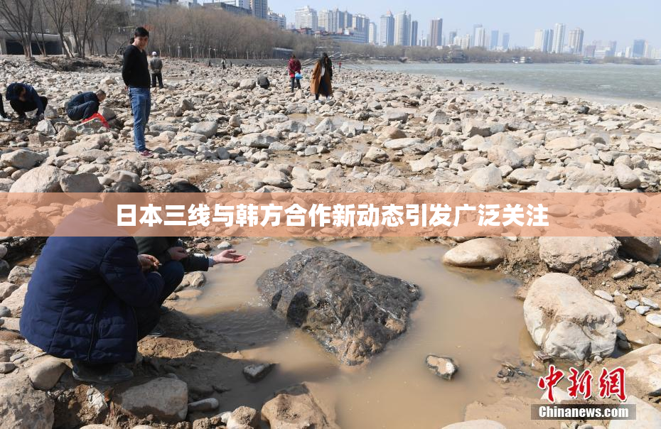 日本三线与韩方合作新动态引发广泛关注