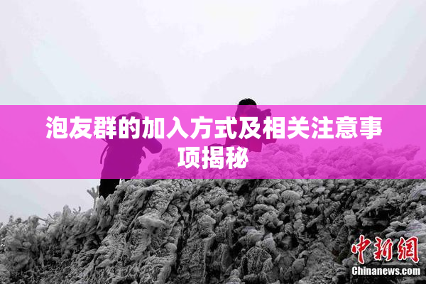 泡友群的加入方式及相关注意事项揭秘