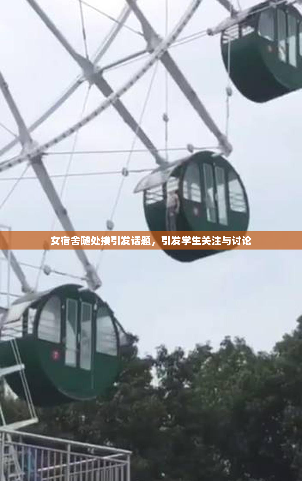 女宿舍随处挨引发话题，引发学生关注与讨论