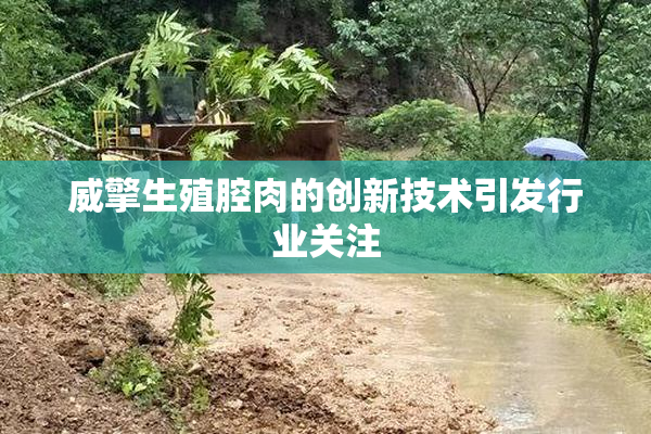威擎生殖腔肉的创新技术引发行业关注