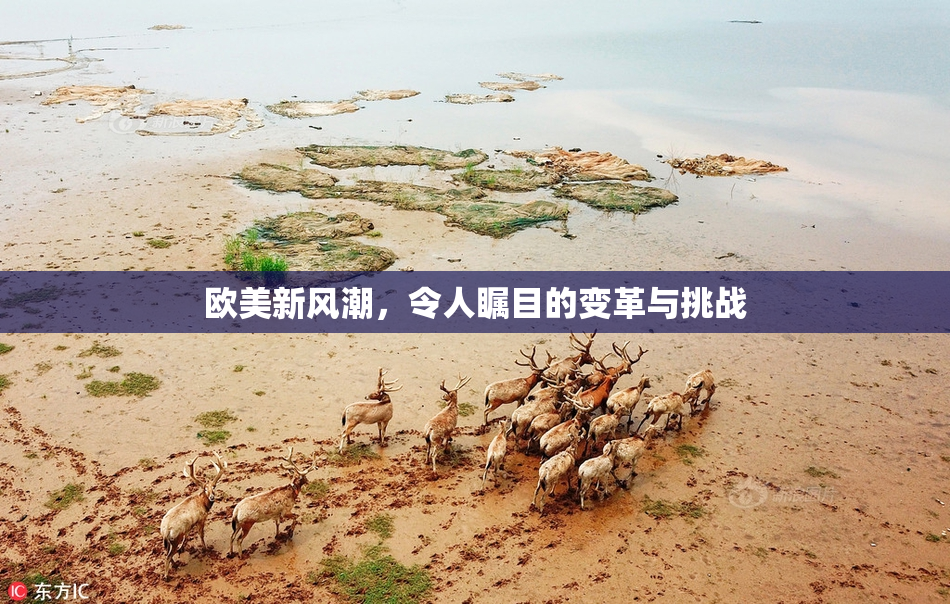 欧美新风潮，令人瞩目的变革与挑战