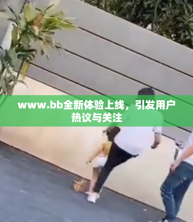www.bb全新体验上线，引发用户热议与关注