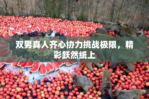 双男真人齐心协力挑战极限，精彩跃然纸上