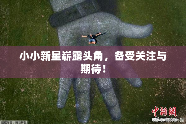 小小新星崭露头角，备受关注与期待！