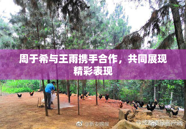 周于希与王雨携手合作，共同展现精彩表现