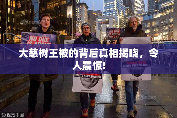 大慈树王被的背后真相揭晓，令人震惊!