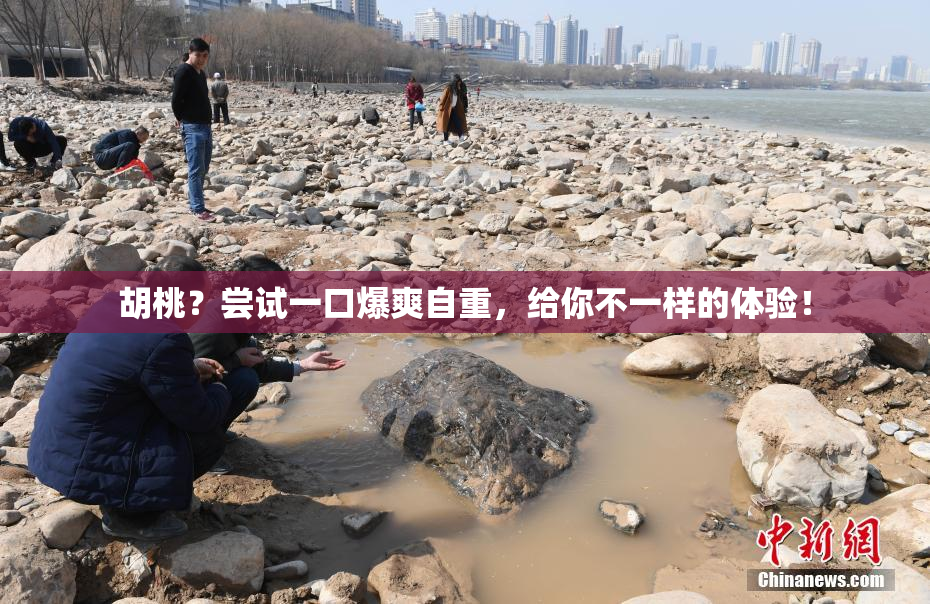 胡桃？尝试一口爆爽自重，给你不一样的体验！