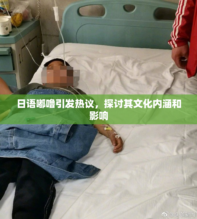 日语嘟噜引发热议，探讨其文化内涵和影响
