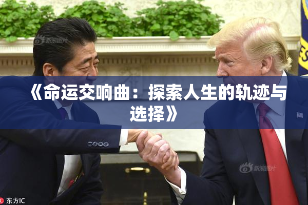 《命运交响曲：探索人生的轨迹与选择》
