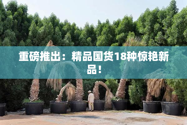 重磅推出：精品国货18种惊艳新品！