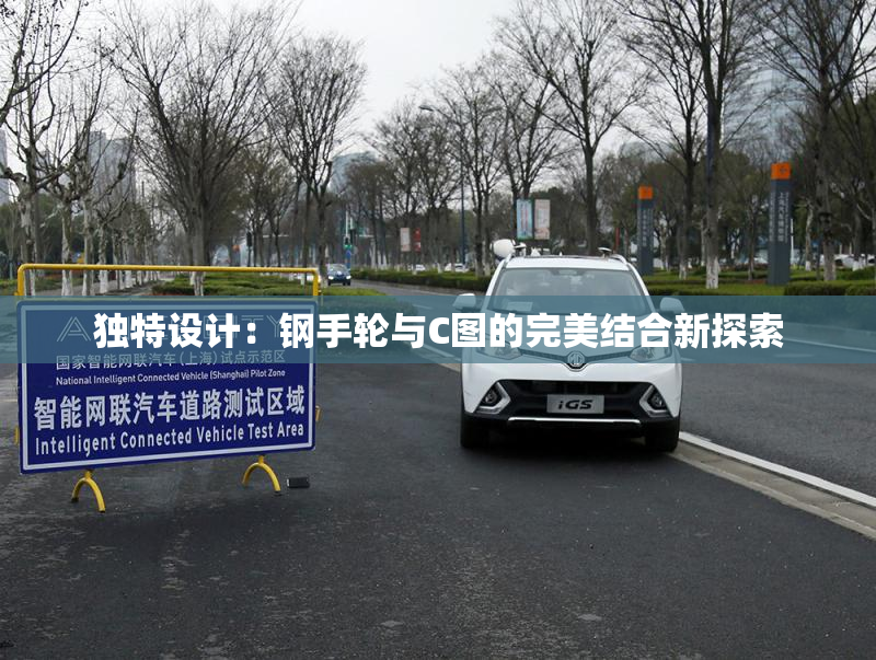 独特设计：钢手轮与C图的完美结合新探索