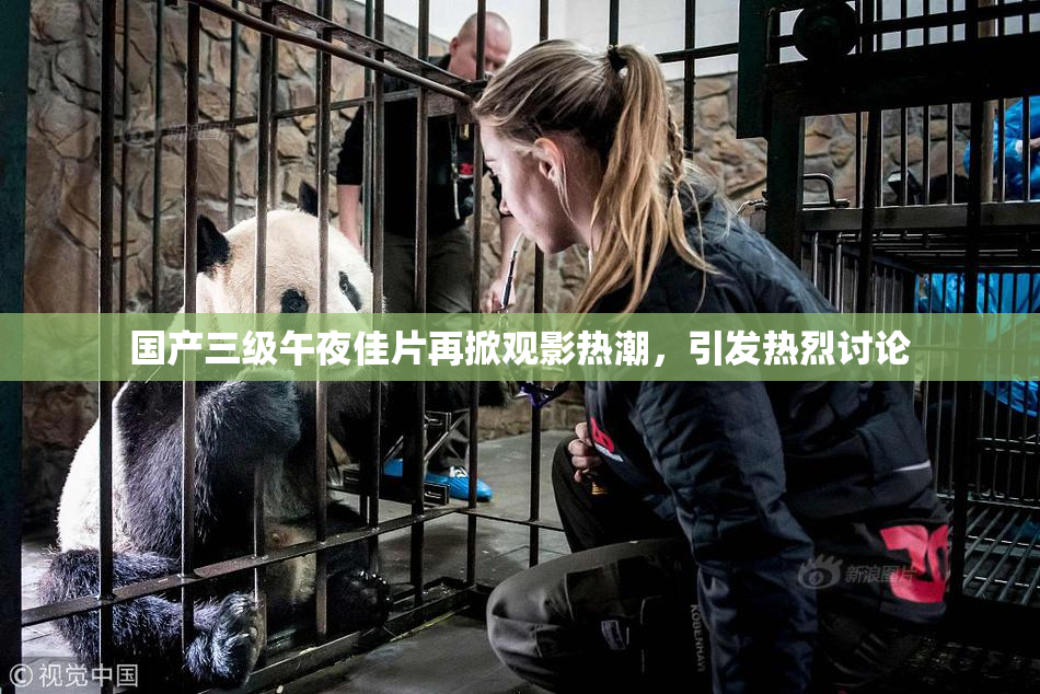国产三级午夜佳片再掀观影热潮，引发热烈讨论
