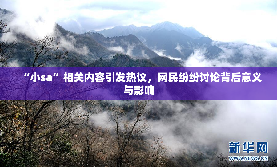 “小sa”相关内容引发热议，网民纷纷讨论背后意义与影响