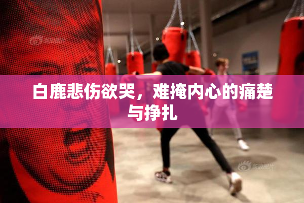 白鹿悲伤欲哭，难掩内心的痛楚与挣扎
