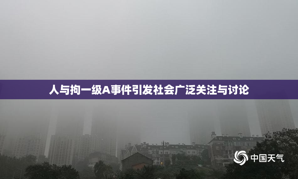 人与拘一级A事件引发社会广泛关注与讨论