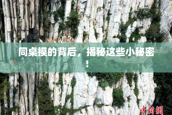 同桌摸的背后，揭秘这些小秘密！