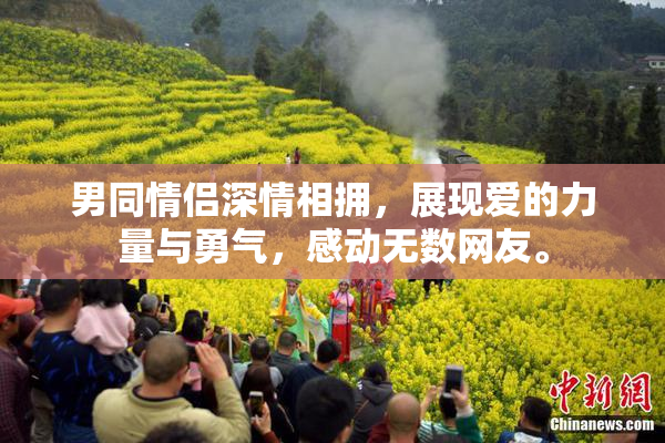 男同情侣深情相拥，展现爱的力量与勇气，感动无数网友。