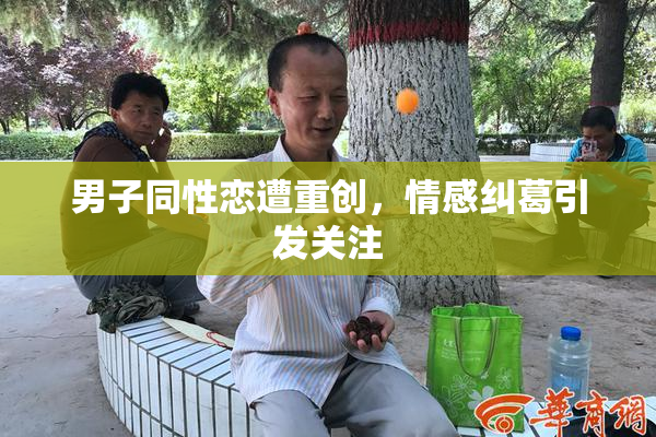 男子同性恋遭重创，情感纠葛引发关注