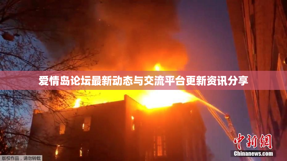 爱情岛论坛最新动态与交流平台更新资讯分享