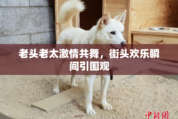 老头老太激情共舞，街头欢乐瞬间引围观