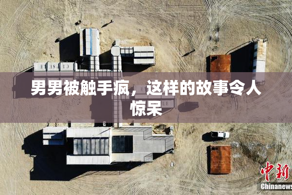 男男被触手疯，这样的故事令人惊呆