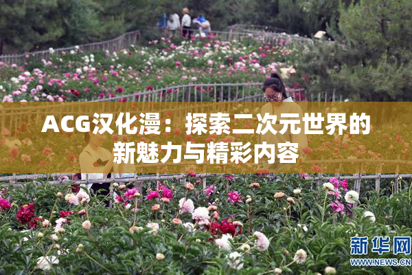 ACG汉化漫：探索二次元世界的新魅力与精彩内容