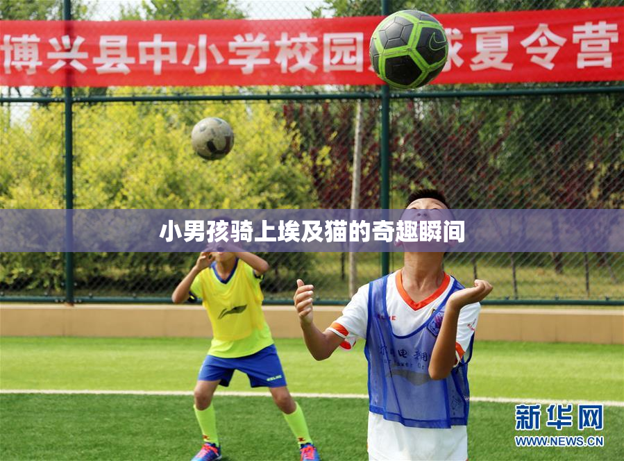 小男孩骑上埃及猫的奇趣瞬间
