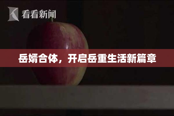 岳婿合体，开启岳重生活新篇章