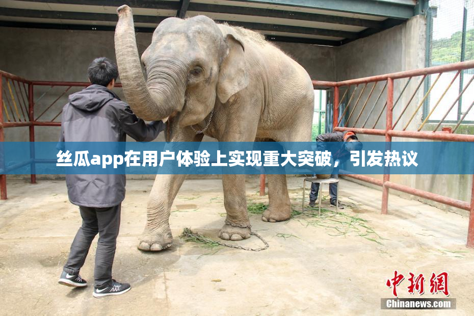 丝瓜app在用户体验上实现重大突破，引发热议
