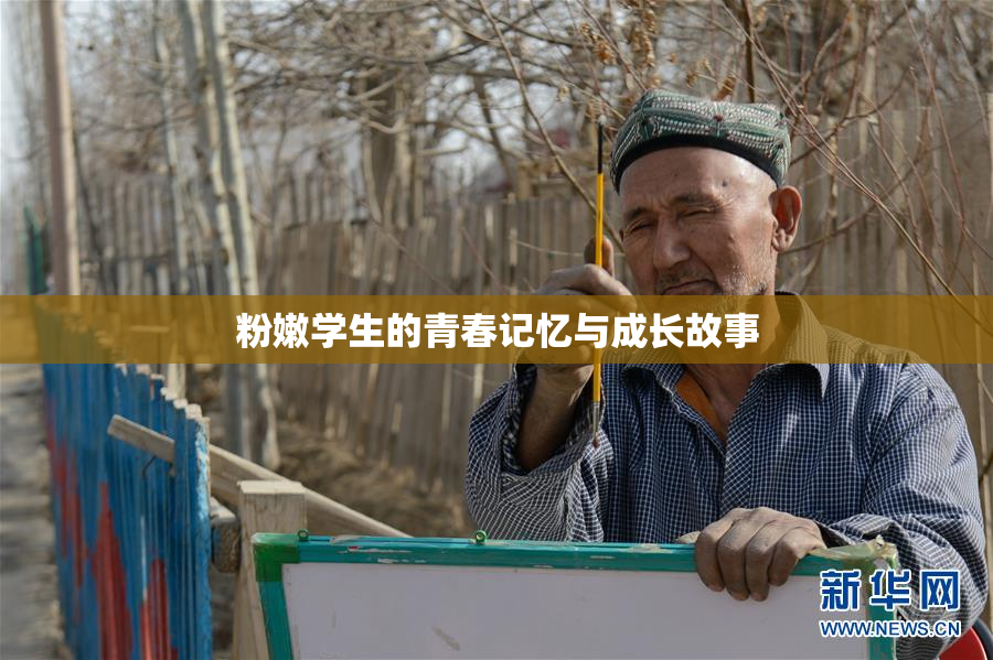 粉嫩学生的青春记忆与成长故事