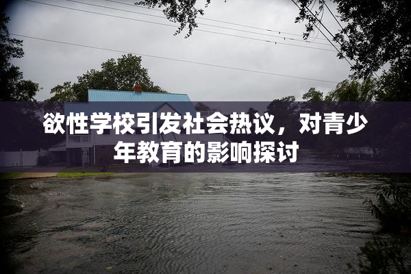 欲性学校引发社会热议，对青少年教育的影响探讨