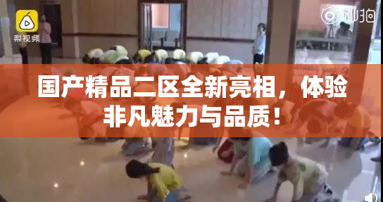 国产精品二区全新亮相，体验非凡魅力与品质！