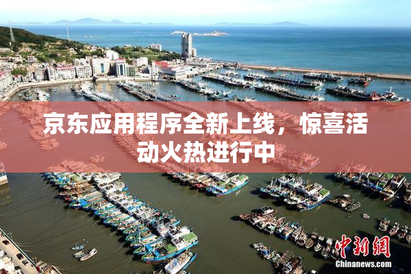 京东应用程序全新上线，惊喜活动火热进行中