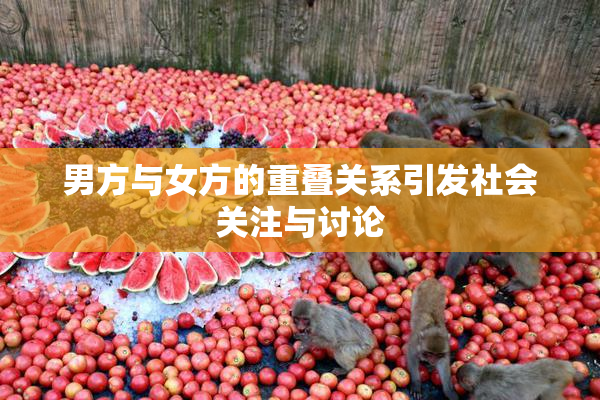 男方与女方的重叠关系引发社会关注与讨论