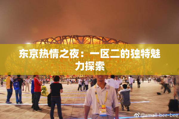 东京热情之夜：一区二的独特魅力探索