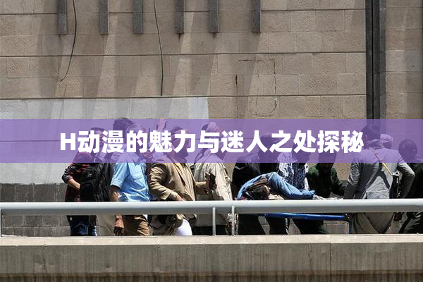H动漫的魅力与迷人之处探秘