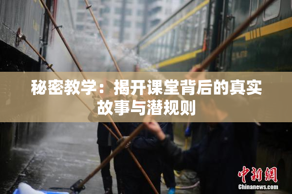 秘密教学：揭开课堂背后的真实故事与潜规则