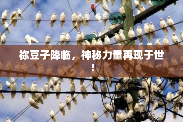 祢豆子降临，神秘力量再现于世！